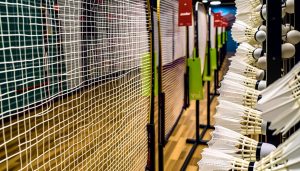 Read more about the article How to Choose the Right Badminton Net for Home or Club Use