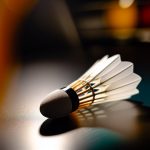 victor baby milo shuttle