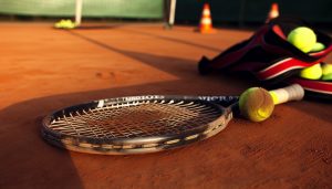 Read more about the article Victor P8500 NitroLite BM 2026 Guide Durability and Support for Training